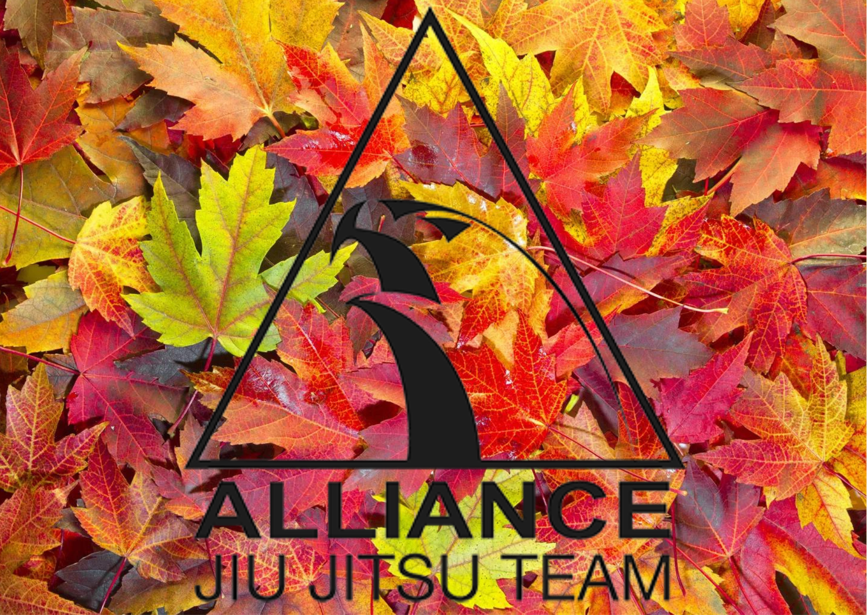 Fall is the time to Fall into BJJ training - Alliance Brazilian Jiu-Jitsu  Madison
