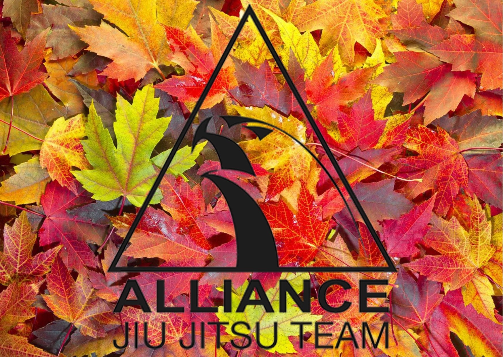 Alliance Jiu Jitsu of Madison - Madison's Best BJJ Academy!